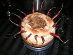 Rogue Chili Cook-Off